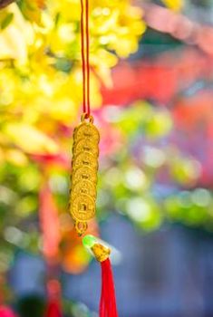 phỏm trực tuyến Nohu