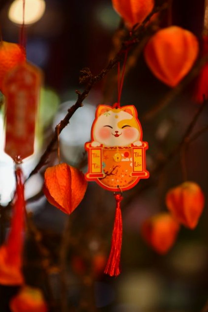 cách chơi Nohu